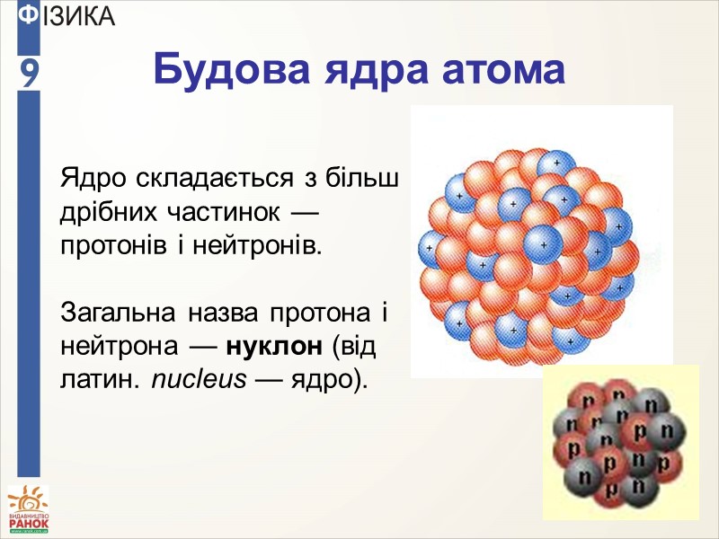 Будова ядра атома Ядро складається з більш дрібних частинок — протонів і нейтронів. 